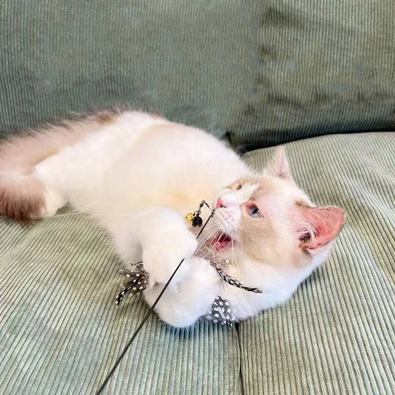Premium Cat Feather Teaser Toy with Bell – Interactive Cat Toy with Wooden Handle