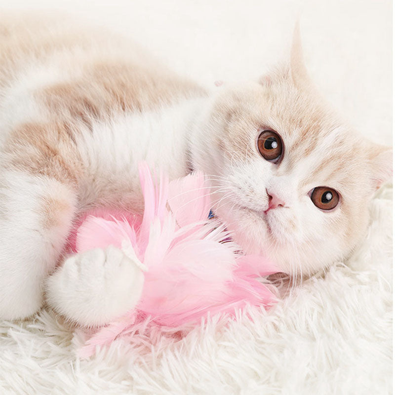 Cat Feather Teaser Toy with Bell – Interactive Cat Toy Set for Indoor Cats