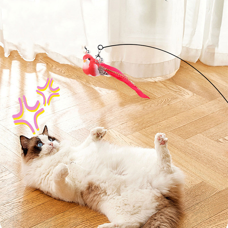 cat toy bird wand
