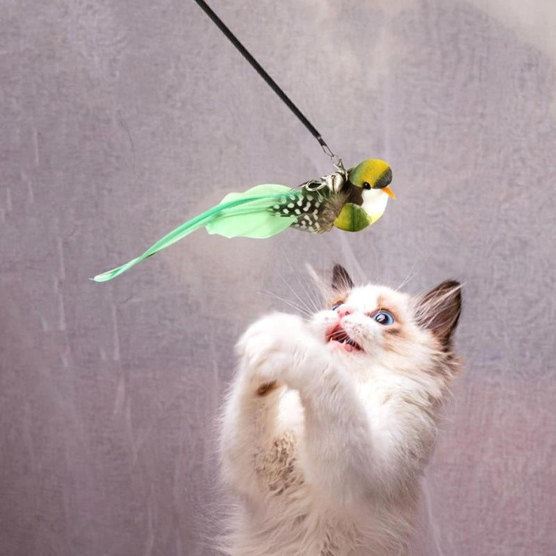 cat toy bird wand