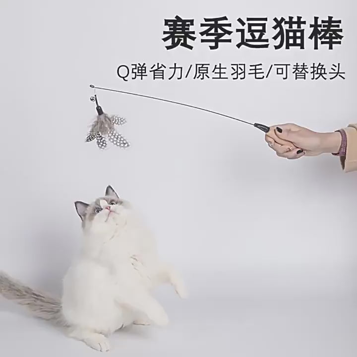 Premium Cat Feather Teaser Toy with Bell – Interactive Cat Toy with Wooden Handle