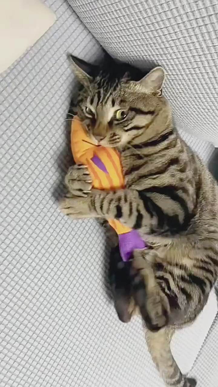 Cat Crinkle Fish Toy with Catnip – Interactive Toy for Indoor Cats